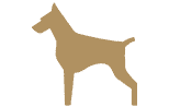 Leather Pet Scratch Repair
